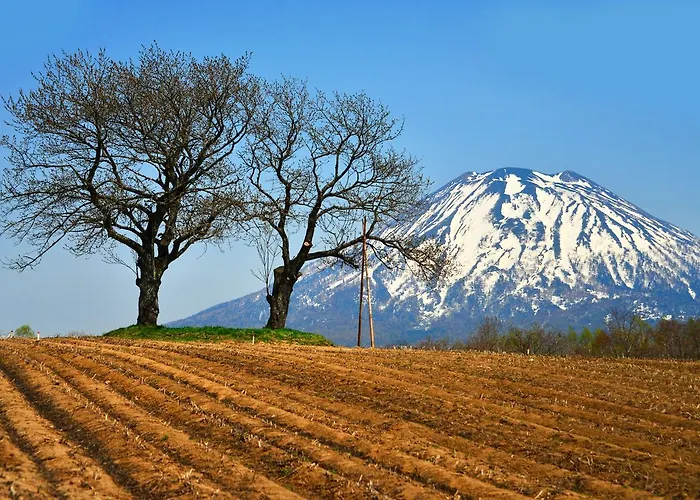 Hotel Niseko Alpen
